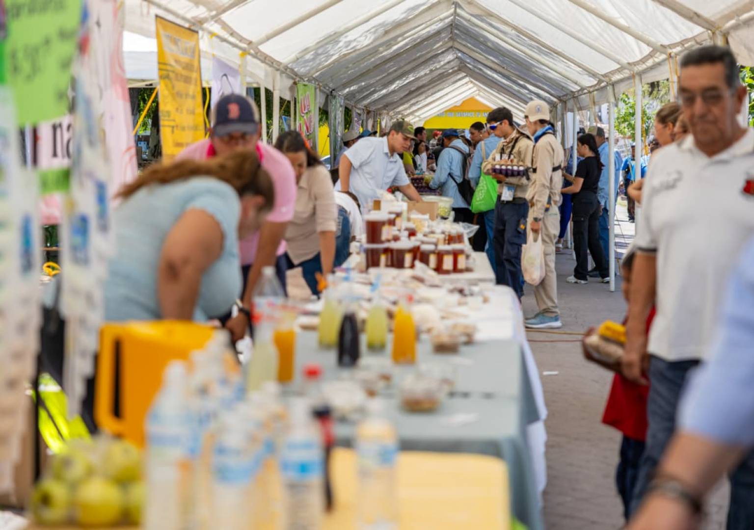 Mercado de Productores fortalece la economía del campo y acerca productos frescos a las familias: Valenciano